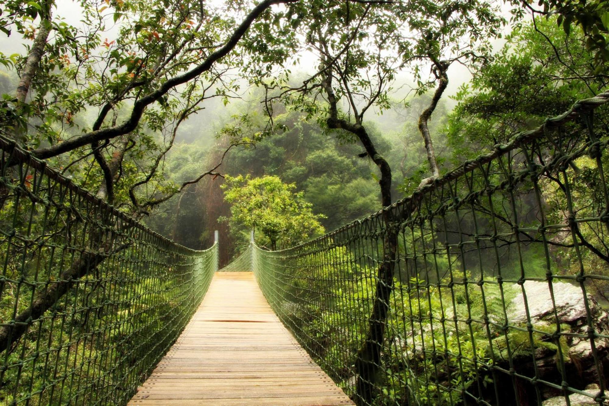 Mogodi Lodge 格拉斯科普 外观 照片